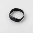 PulseBand 2023