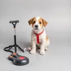Puppy Training Set