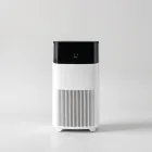 Smart Air Purifier