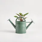 Plant Watering Can
