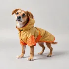 Dog Raincoat