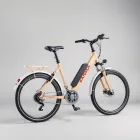 Rapid City E-Bike