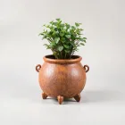 Rusty Cauldron Planter