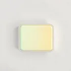 Radiant Color Case