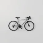 Ride Twinpig