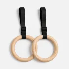 Calisthenics Workout Rings