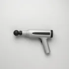 Riviera Essential Massage Gun — 4kg