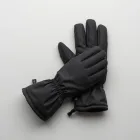 RidgeWind Insulated Gloves