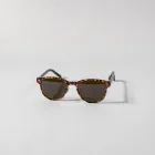 Safari Style Sunglasses