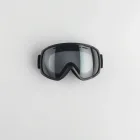 Snowboard Adjustable Goggles