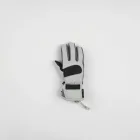 Snowboard Gloves Pro Grip