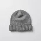Snowboard Beanie Cozy 2023
