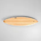 Sandbar Surfboard
