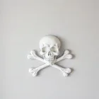 Skull and Crossbones Wall Art