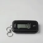 Portable Fish Scale