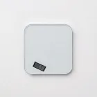 Digital Kitchen Scale