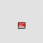 SanDisk 64GB SD Card