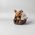 Small Dog Carrier