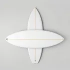 Surftech Funboard