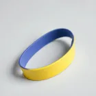Strive Fitness Band