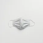 Stylish Face Mask