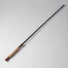 Shore Casting Rod