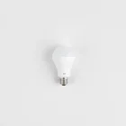 Smart Home WiFi LED Bulb
