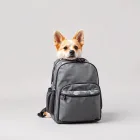 Pet Travel Backpack