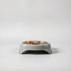 Pet Feeding Station