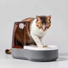 Automatic Cat Feeder