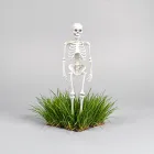 Skeleton Lawn Stakes