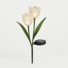 Solar Tulip Light