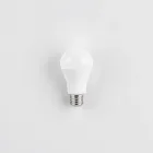 Smart LED Light Bulb