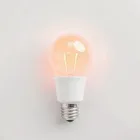 Smart LED Light Bulbs