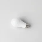 Smart LED Light Bulbs