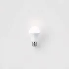 Smart LED Light Bulbs