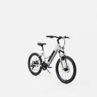 Sport Max E-Bike
