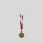 Surfing Medals Display