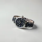 Sophisticated Monaco Watch