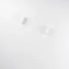 Snowboard Stability Trainer