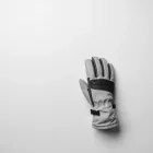 Snowboard Gloves Pro