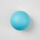 Snowboard Therapy Massage Ball