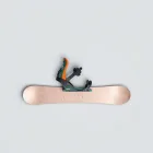 Snowboard Equipment Set