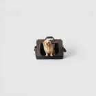 Solano Original Pet Carrier — Large