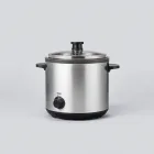 Sous Vide Precision Cooker