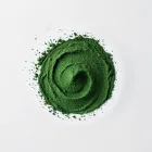 Spirulina Protein Powder