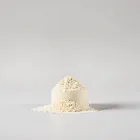 Soy Protein Powder - Natural