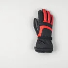 Winter Sports Mittens