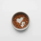 Small Pet Food Bowl