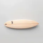 Sunset Palms Surfboard
